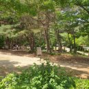 태학산자연휴양림 P2주차장 이미지