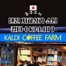 KALDI COFFEE | 후쿠오카 텐진 지하상가 칼디(KALDI) 방문 후기｜일본 쇼핑 필수 코스?추천템