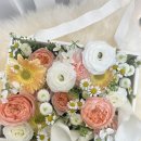 상남동164 이미지