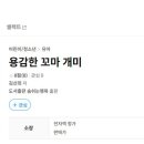 개미통신 이미지