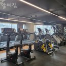 알피짐 이미지