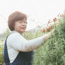 인간과허브 이미지