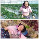 강림농장 이미지