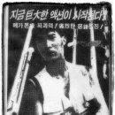 뉴코리아극장 이미지
