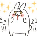 알파AV 이미지