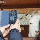방은목장 네이버블로그