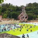 대망태권도 이미지