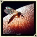 횡성군보건소 이미지