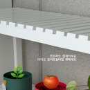 토바토