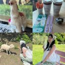 유인목장 | [제주 도치돌목장] 제주도 서쪽 코스 애월쪽 가볼만한곳 알파카 말 양 체험 가능 도치돌목장 후기