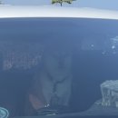 한림세차장 이미지