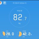 이디야킨텍스 | 마운자로 2.5mg 26일차｜치킨 먹고도 100g 증가, 킨텍스 행사 다녀온 날