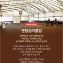 분당승마클럽 이미지