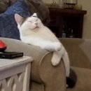 (주)인바디 이미지