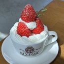 케이크는 매일 먹어도 맛있어 | 광주 상무지구 케이크맛집 슬라이폭스 크림 완전 맛있어