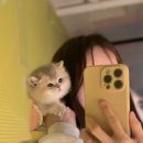 프리미엄먼치킨 이미지