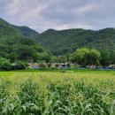 원뜰농장 이미지