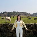 배구목장 | 2026.03 일상