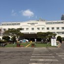 백신 | [발리 여행 꿀팁] 발리 여행 꼭 알아야 하는 주의사항 + 광견병 백신접종 여행자보험 후기