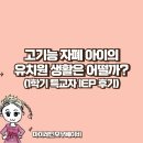 고기능 자폐 유치원 특수교육대상자 1학기 개별화교육계획 후기
