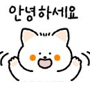 정교공인중개사사무소 이미지