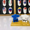 용인대학교강력유도관 이미지