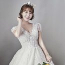 나비컴퍼니 이미지
