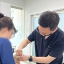 웰니스동물병원(수완점) | 수완지구동물병원 노령견일수록 '어디서 진료를 받느냐'가 아이의 생명을 크게 좌우합니다.