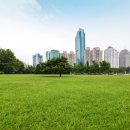 강남행정사사무소 이미지