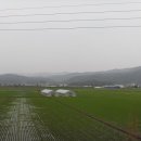 대마2리 이미지