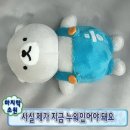 한의원 진료 후기, 진맥 결과