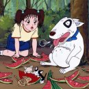 바우와우 이미지