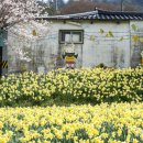 거북이마을 이미지