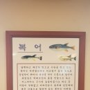 충무복집 | 춘천 충무복집
