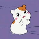 아가상사 이미지