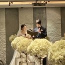 [200209-16] 2월 셋째 주 일상 (feat, 사촌동생 결혼식) / 집에서 뒹굴뒹굴