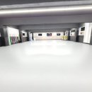 삼손태권도 이미지