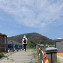 포항 해파랑길 16코스 이미지