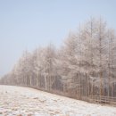 유화목장 이미지