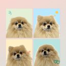 멍쓰홀릭 이미지