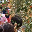 은샘어린이집 이미지