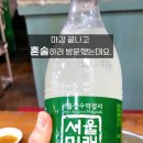 🍶&#39;과천&#39;에서 혼술할땐 : &#39;강원농산착한샤브&#39; #내돈내산 #샤브샤브