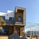 모노리스 스텔라 이미지