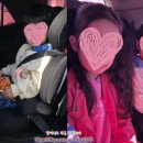 금동농장 | 연휴 아이들이랑 충남여행기 부여·논산·대천 2박3일 완전 정복