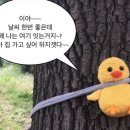 땡벌 이미지