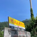 [경북/울릉] 울릉도캠핑 오토백패킹 울릉도노지캠핑 울릉도 2박3일 일정 &#39;울릉도독도해양연구기지&#39;