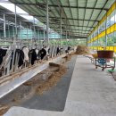 다만축산 이미지