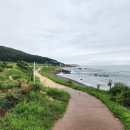 8/10(일)대체트레킹/울산대왕암공원 슬도/마포면옥/장안사/드론쇼 이미지