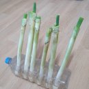 대망식품 이미지