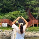 진주수산건어물 | 강원도 삼척 여행 코스 가볼만한곳 삼척 중앙시장 먹거리 맛집 수산시장